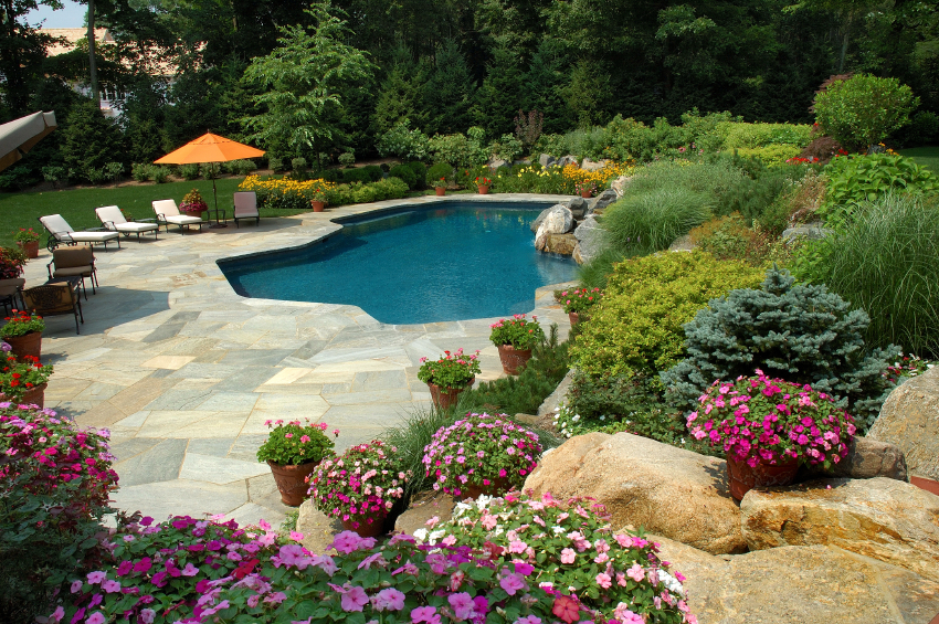 Landscaping Ideas around Pool